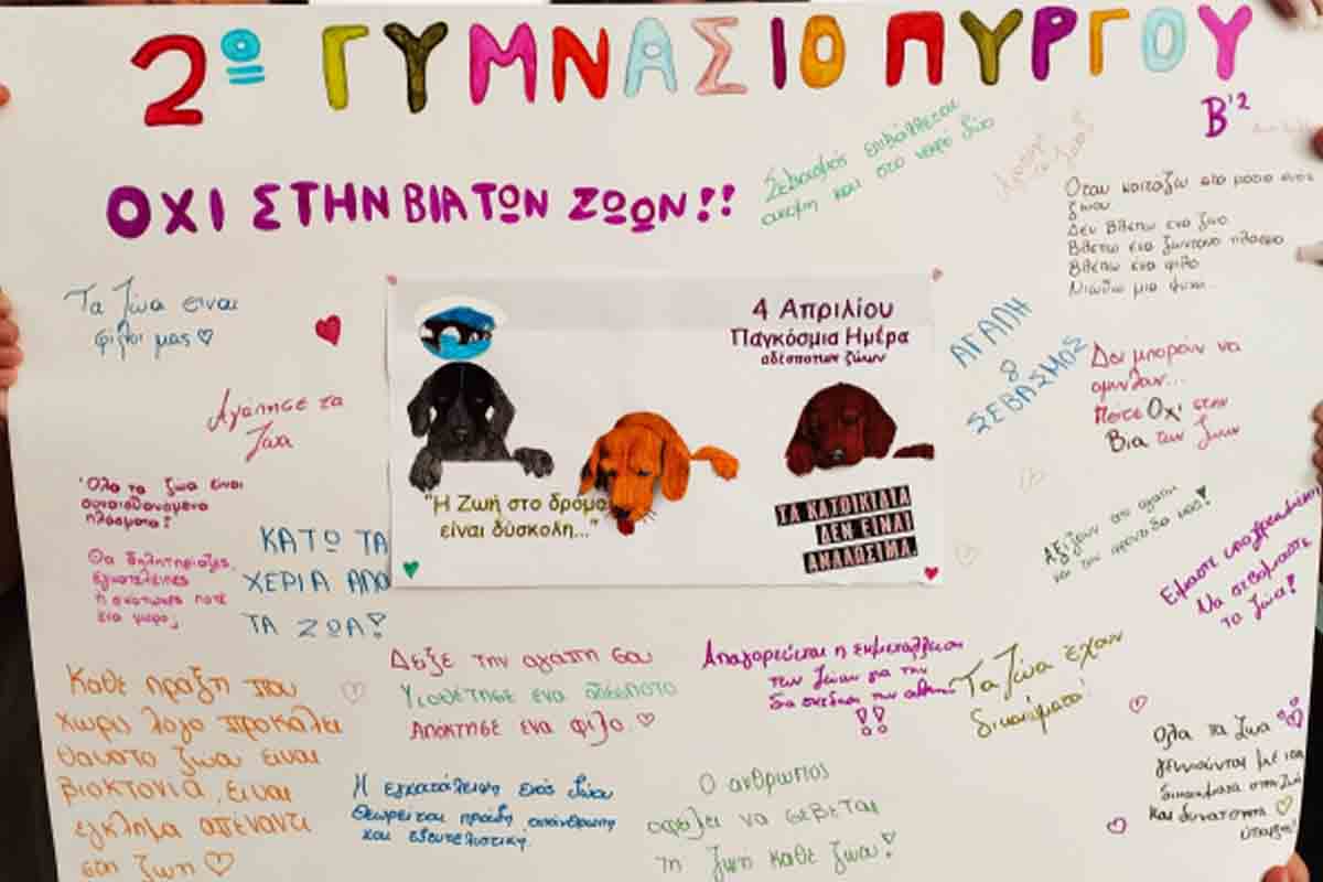 2o gymn purgou pag zoon 5