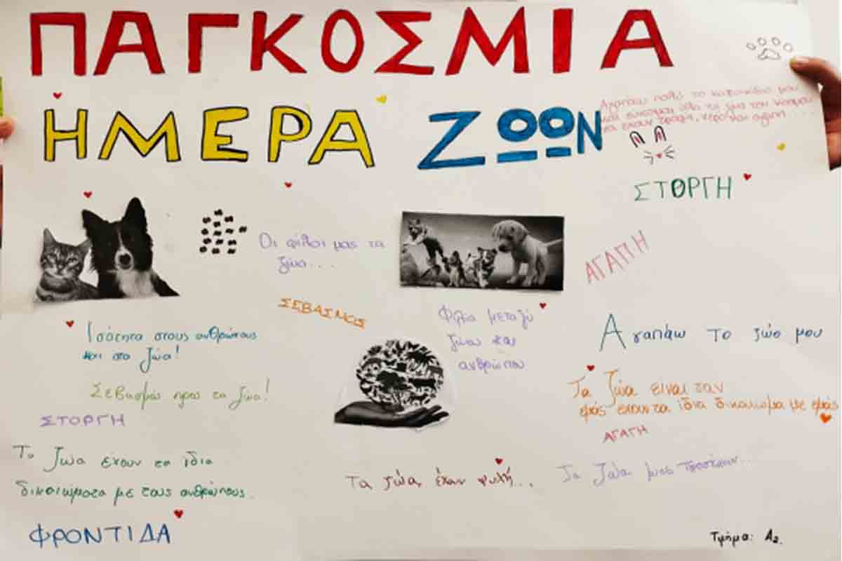 2o gymn purgou pag zoon 6