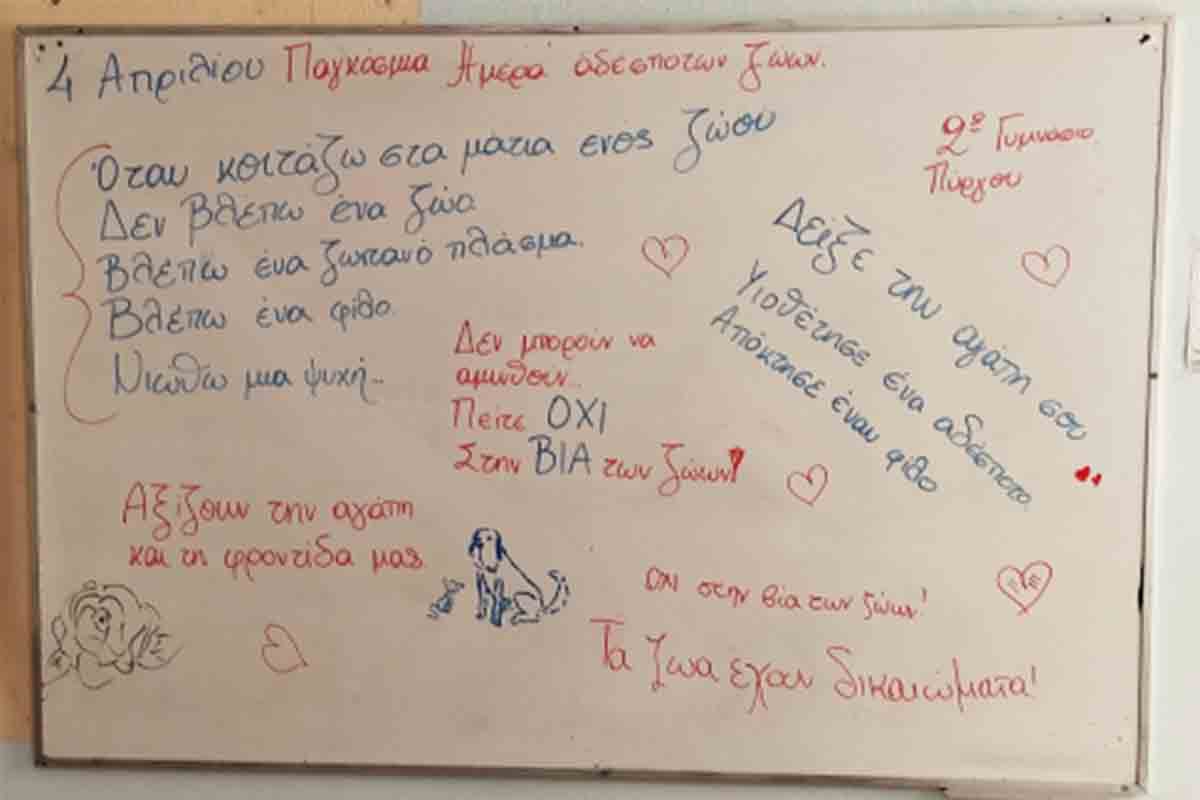 2o gymn purgou pag zoon 7