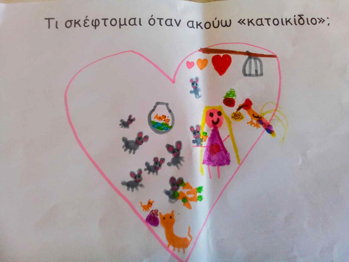 adespota zoumi 3