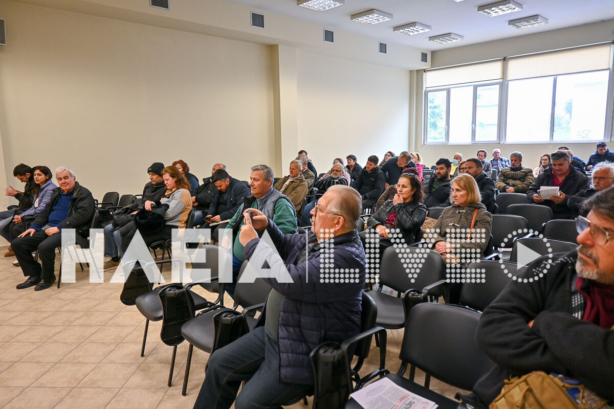 Amaliada apergia 2