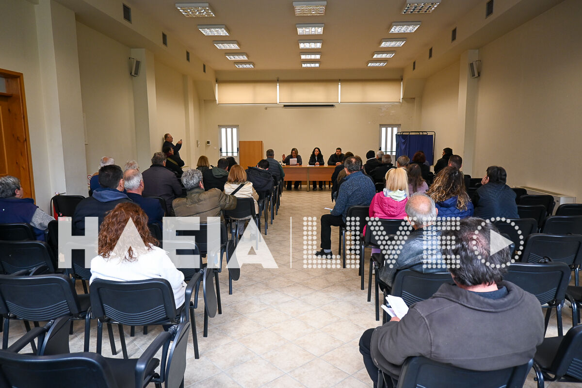 Amaliada apergia 5