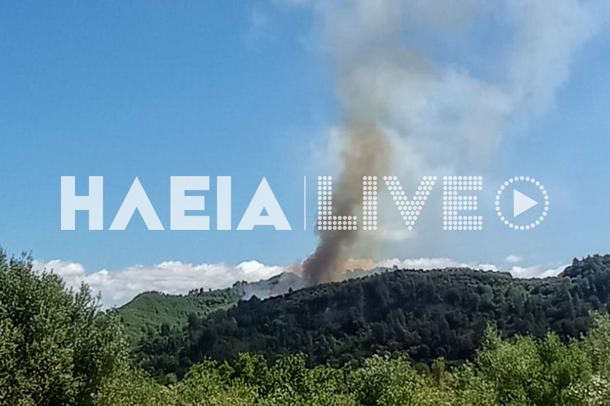 fotia kaluvakia 1