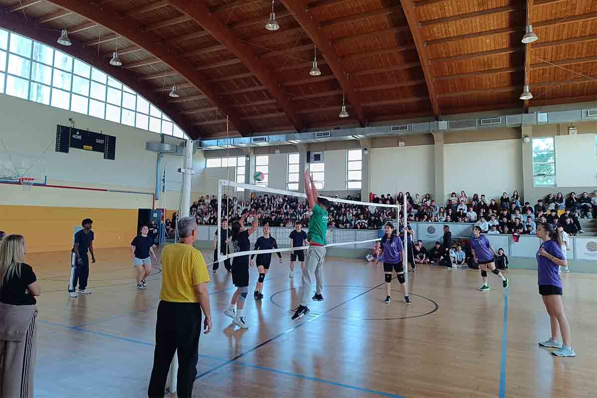 olumpia draseiw ital 2