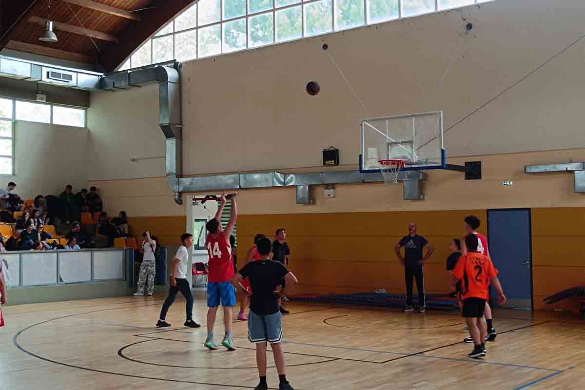 olumpia draseiw ital 3