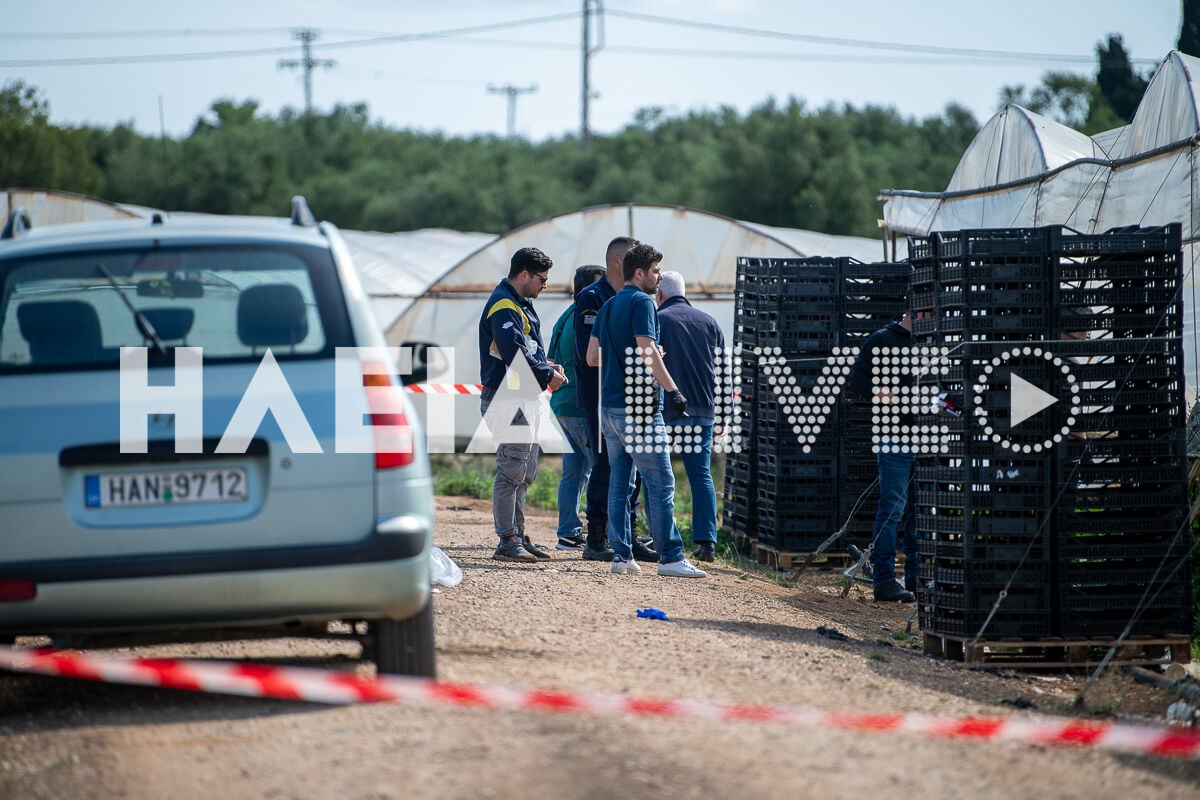 egklima varda new 2