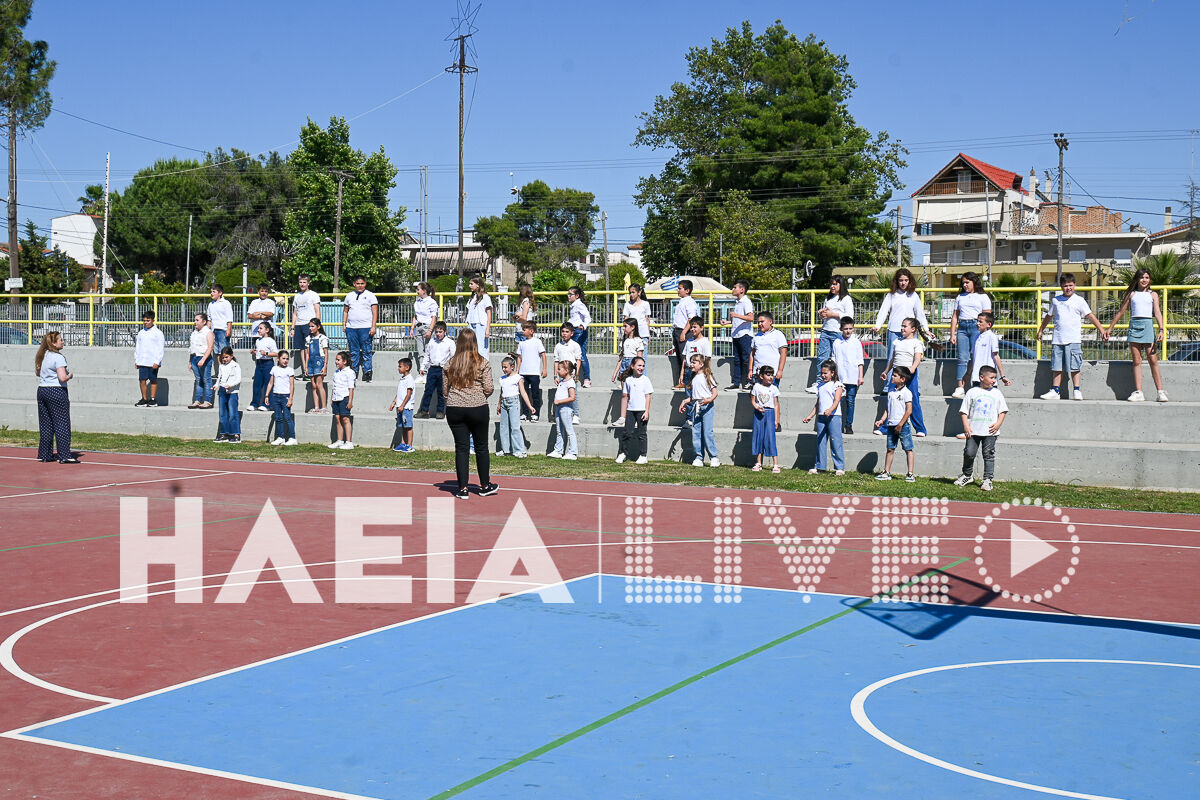 Manolada school 19