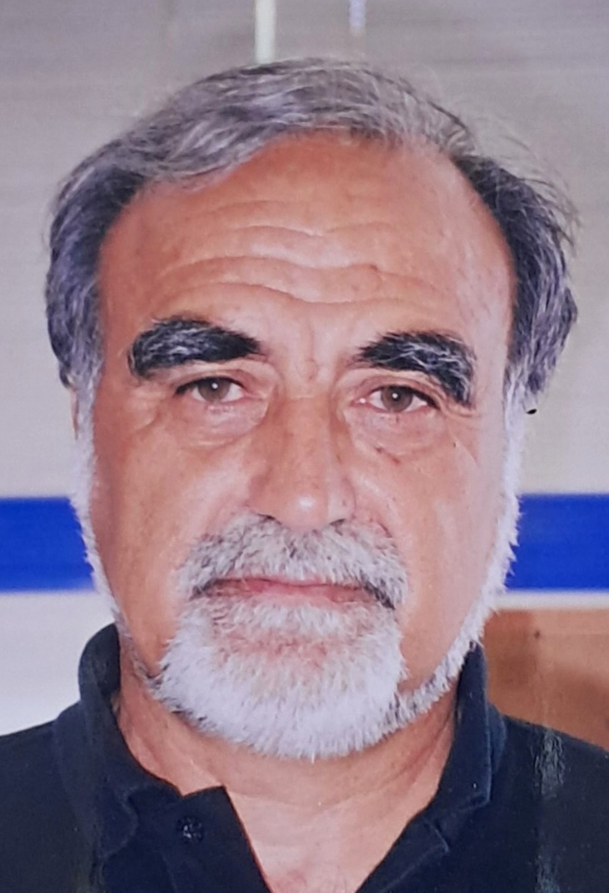 Tsamis11