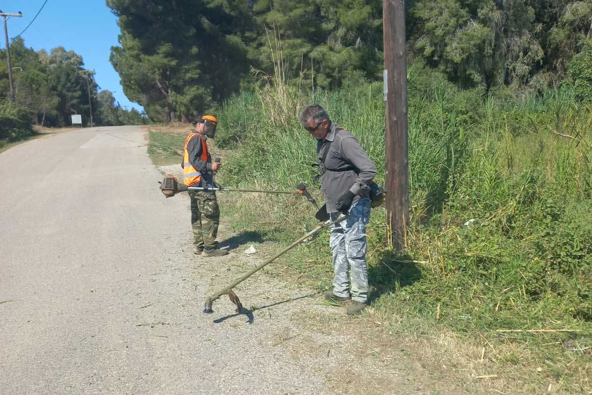 samiko Mathites paralia 5