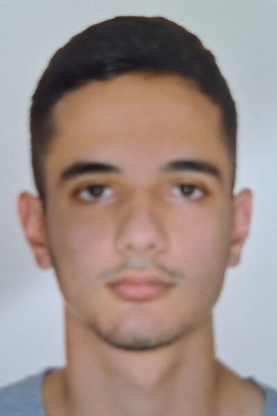 stasinopoulos 2