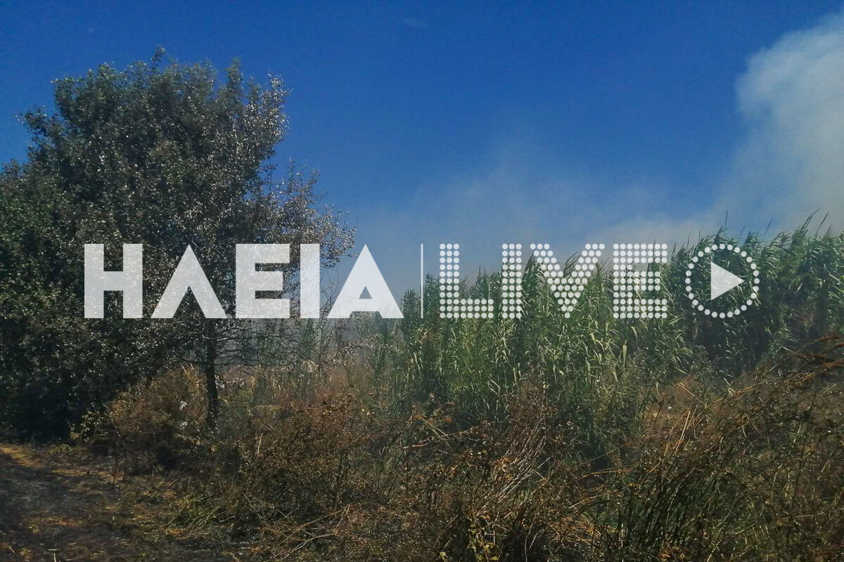Fotia Gastouni 24 2