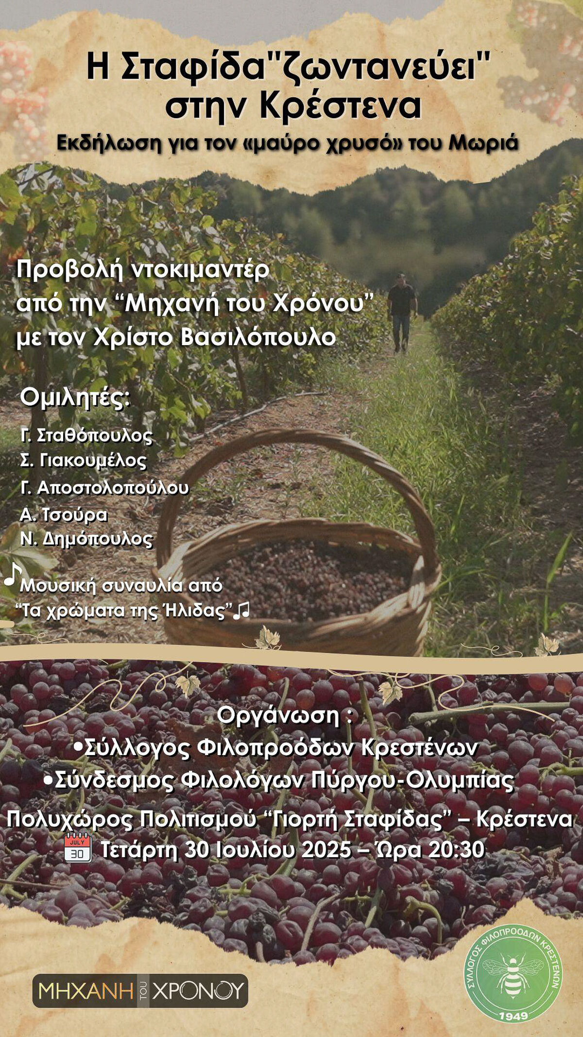 Vasilopoulos 3