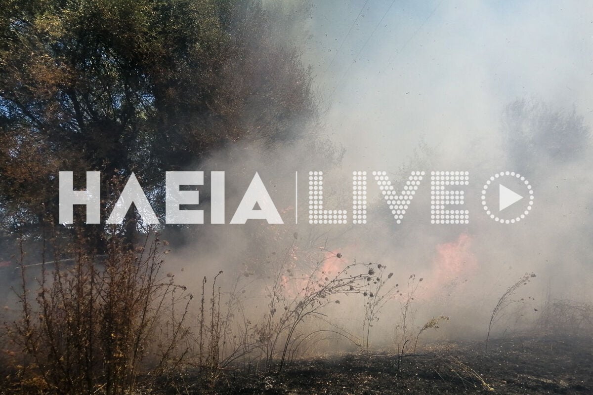 Fotia Melissa 7