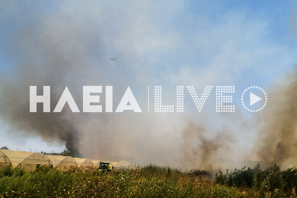 Fotia tragano Olumpia Odos 7