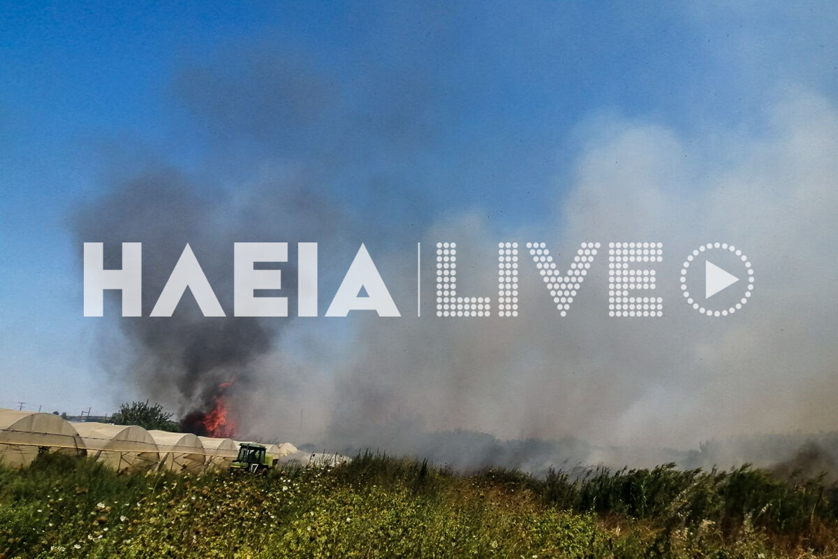 Fotia tragano Olumpia Odos 8