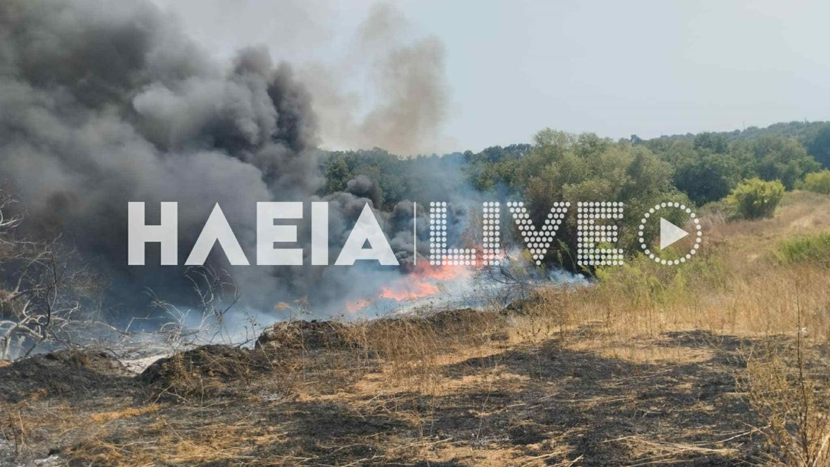 fotia kapeleto 14
