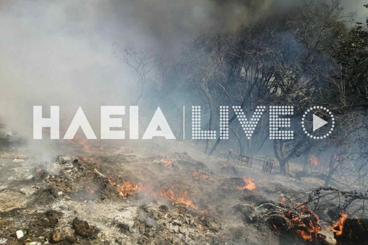 fotia kapeleto 2