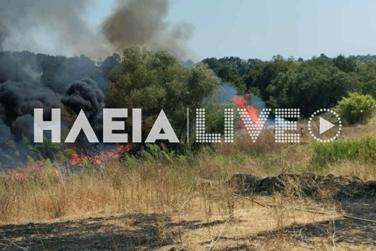 fotia kapeleto 5