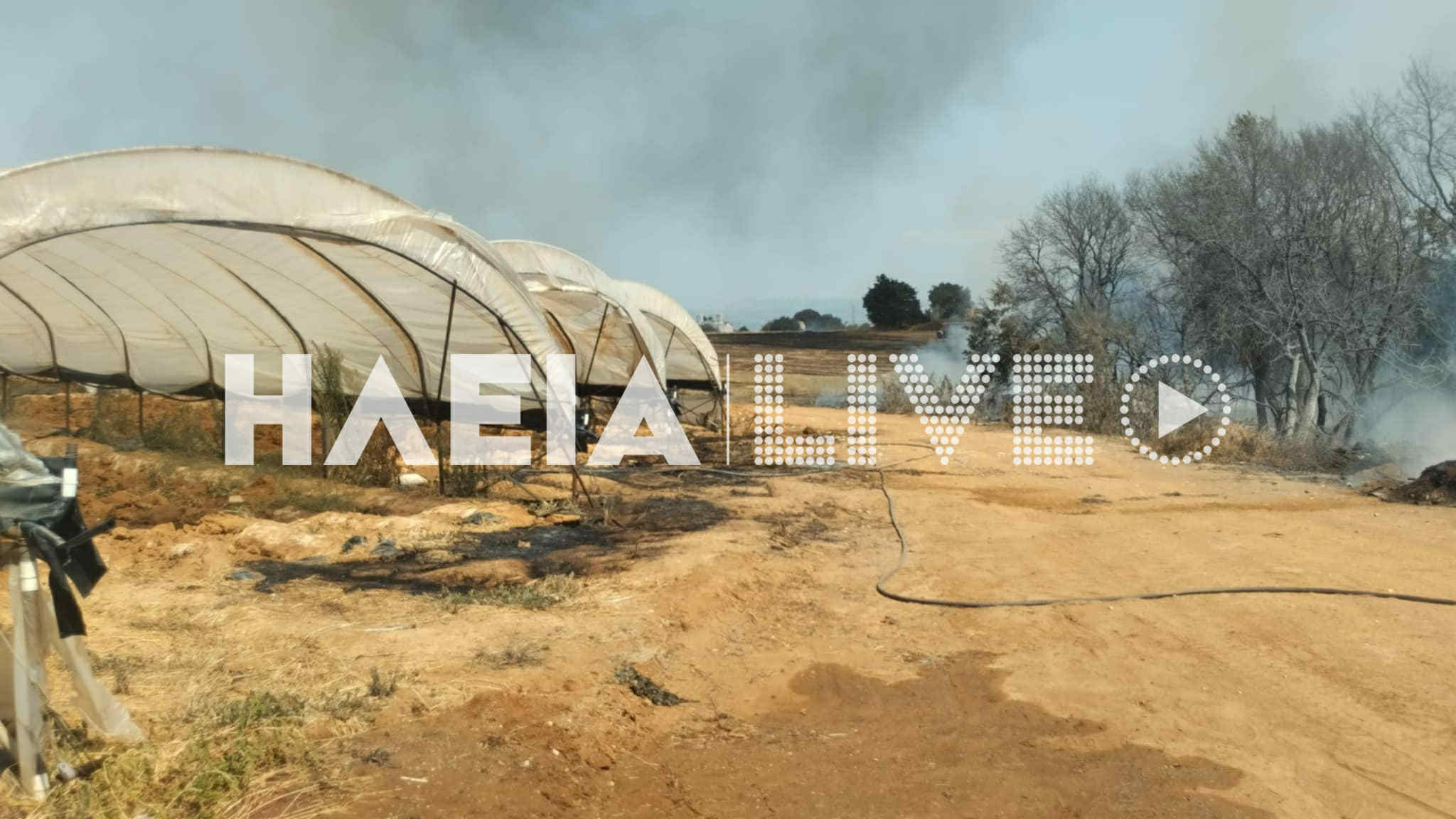 fotia kapeleto 6
