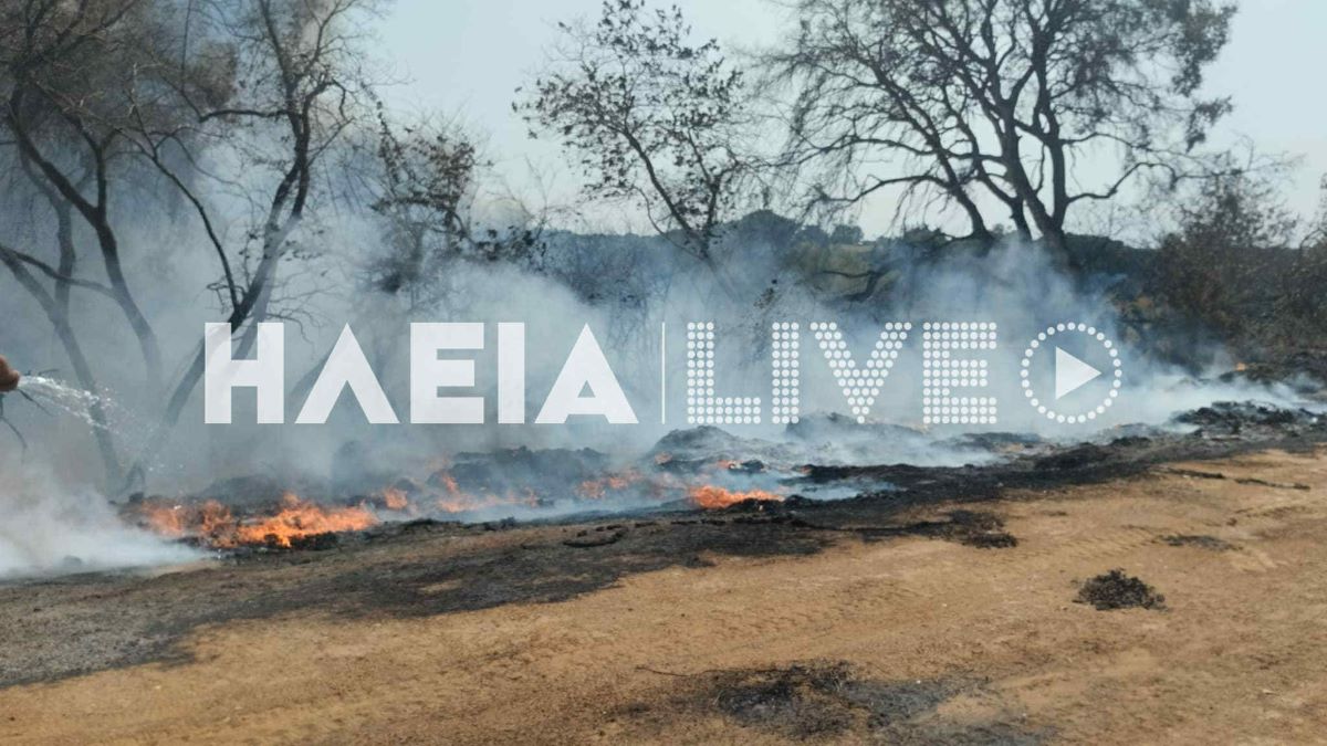 fotia kapeleto 9