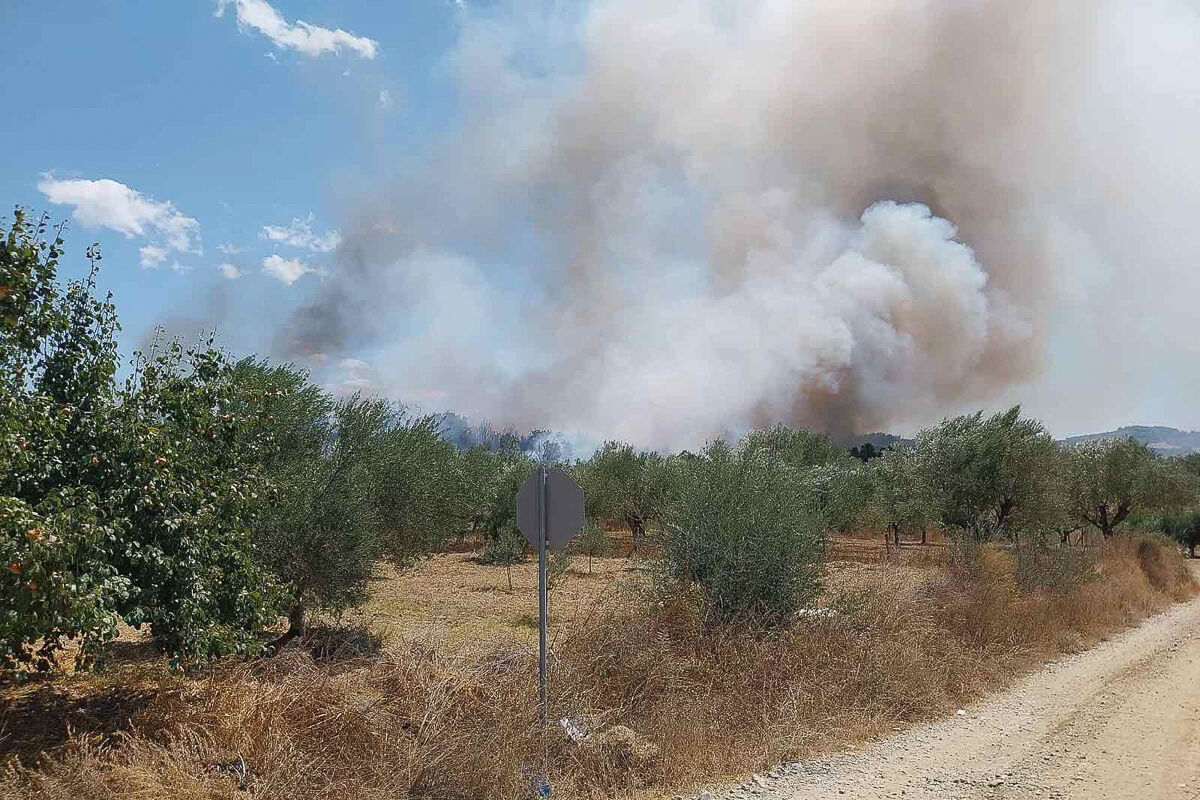 Dimos Malapasi 4