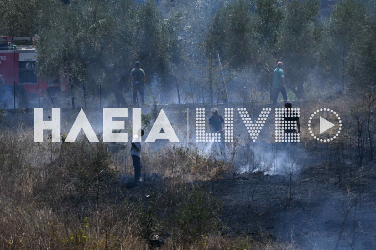 malapasi fotia 9