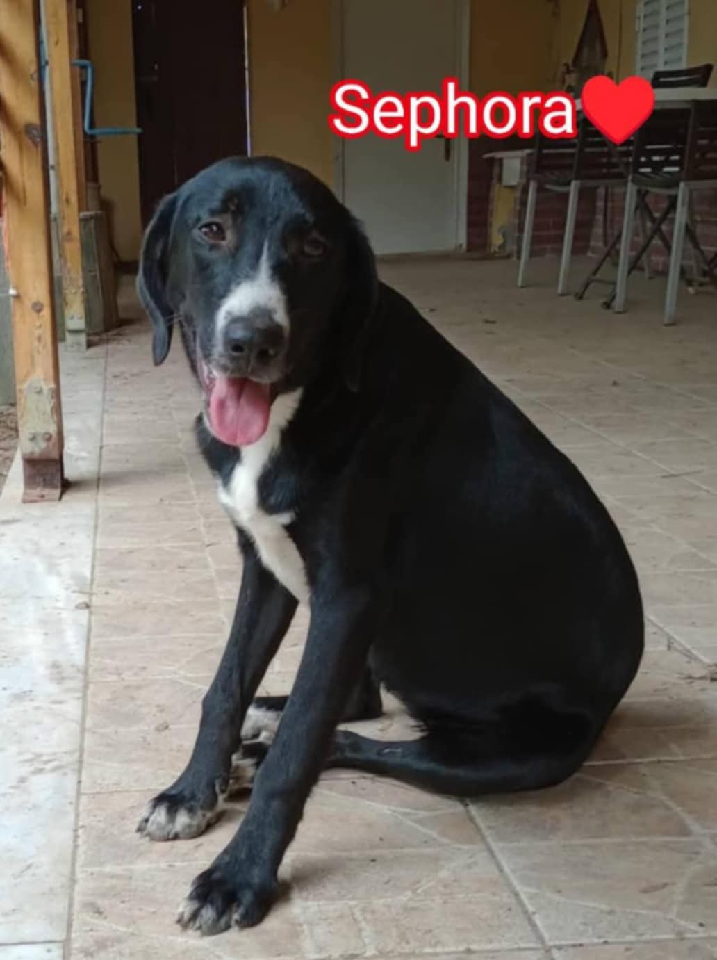 sephora aliki