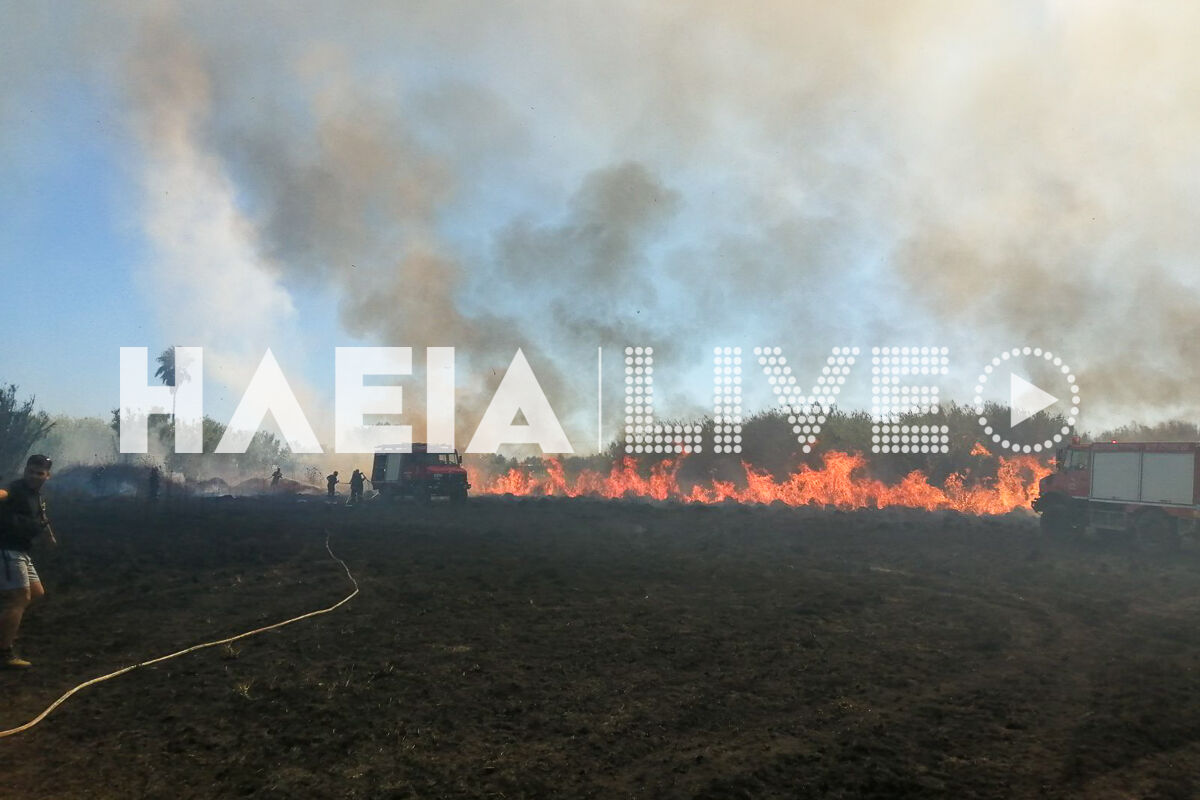 Fotia Lexaina 3
