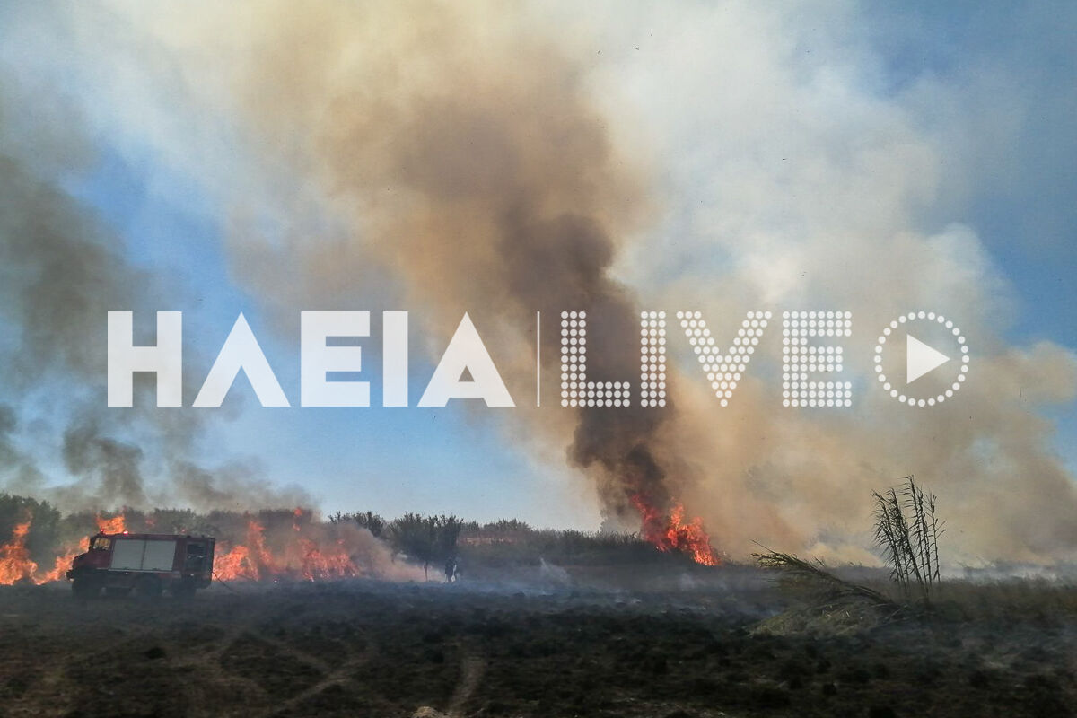Fotia Lexaina 5
