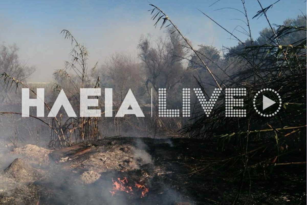 kaluvia fotia 3