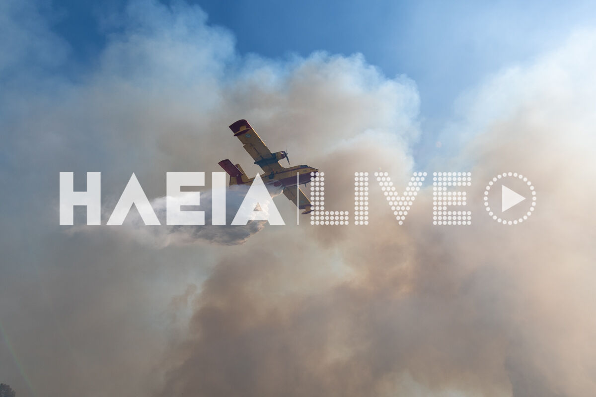 fotia melissa 24