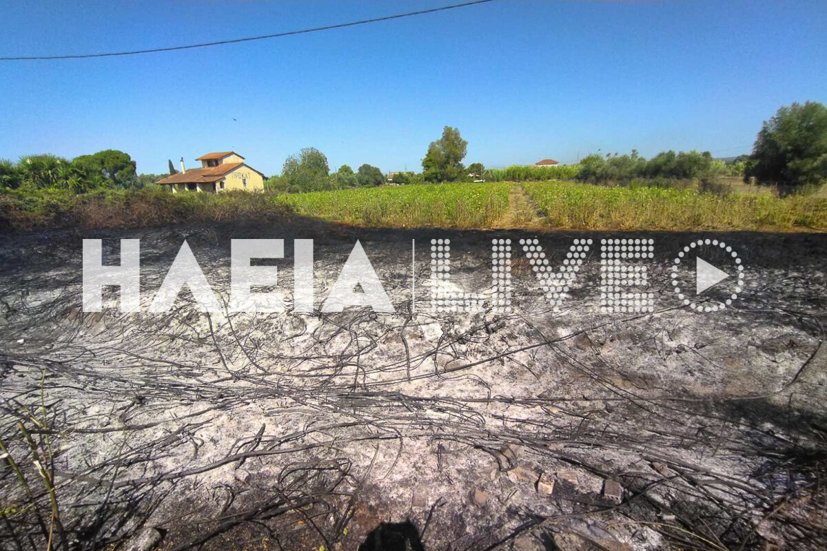 Fotia Papakasela 2
