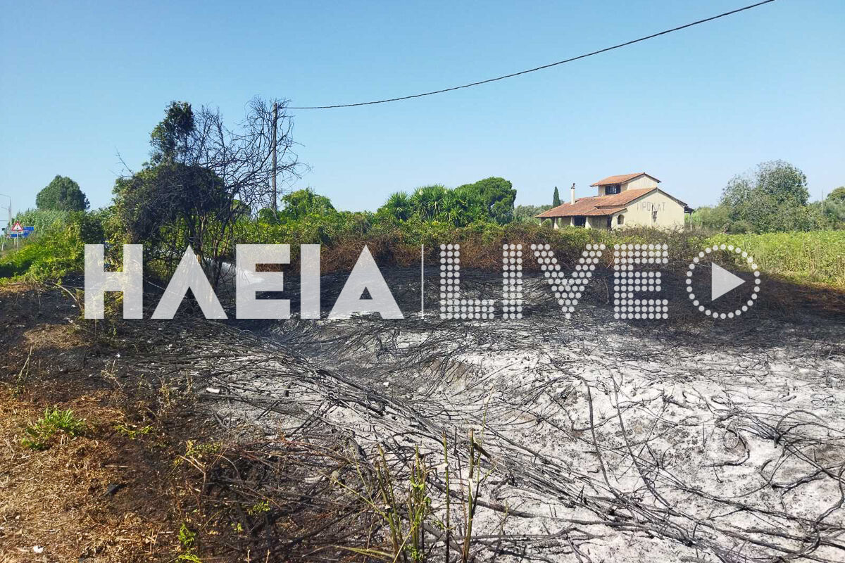 Fotia Papakasela 3
