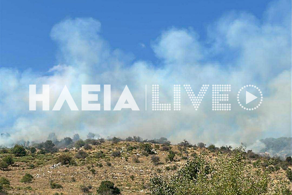 Fotia Spartoulia Sep 2 2