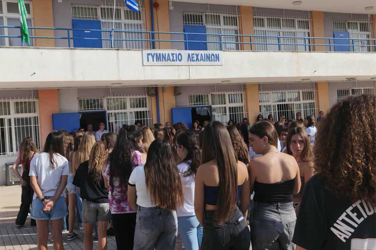 andr nea sxoliki 8