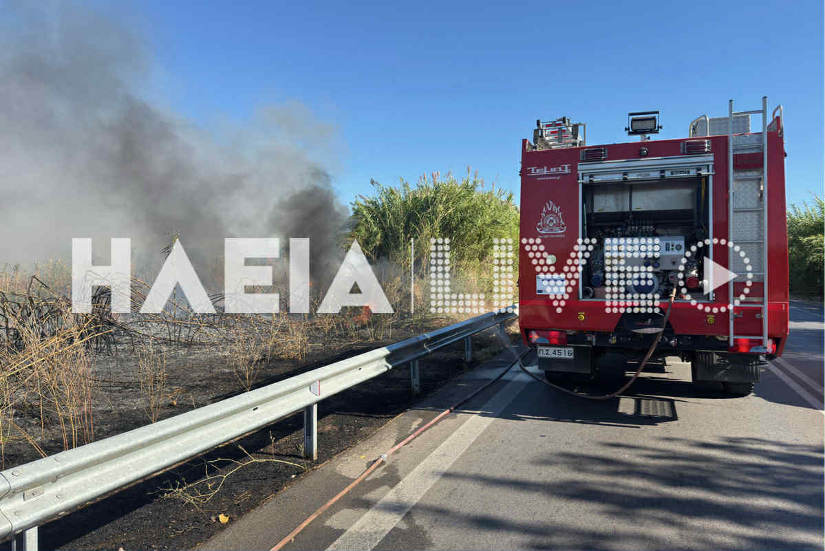 fotia stas 2