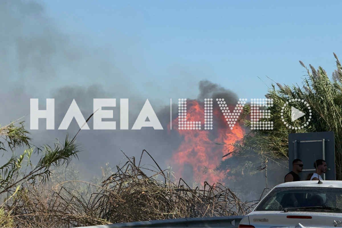 fotia stas 3