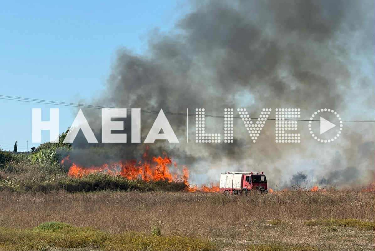 fotia stas 4