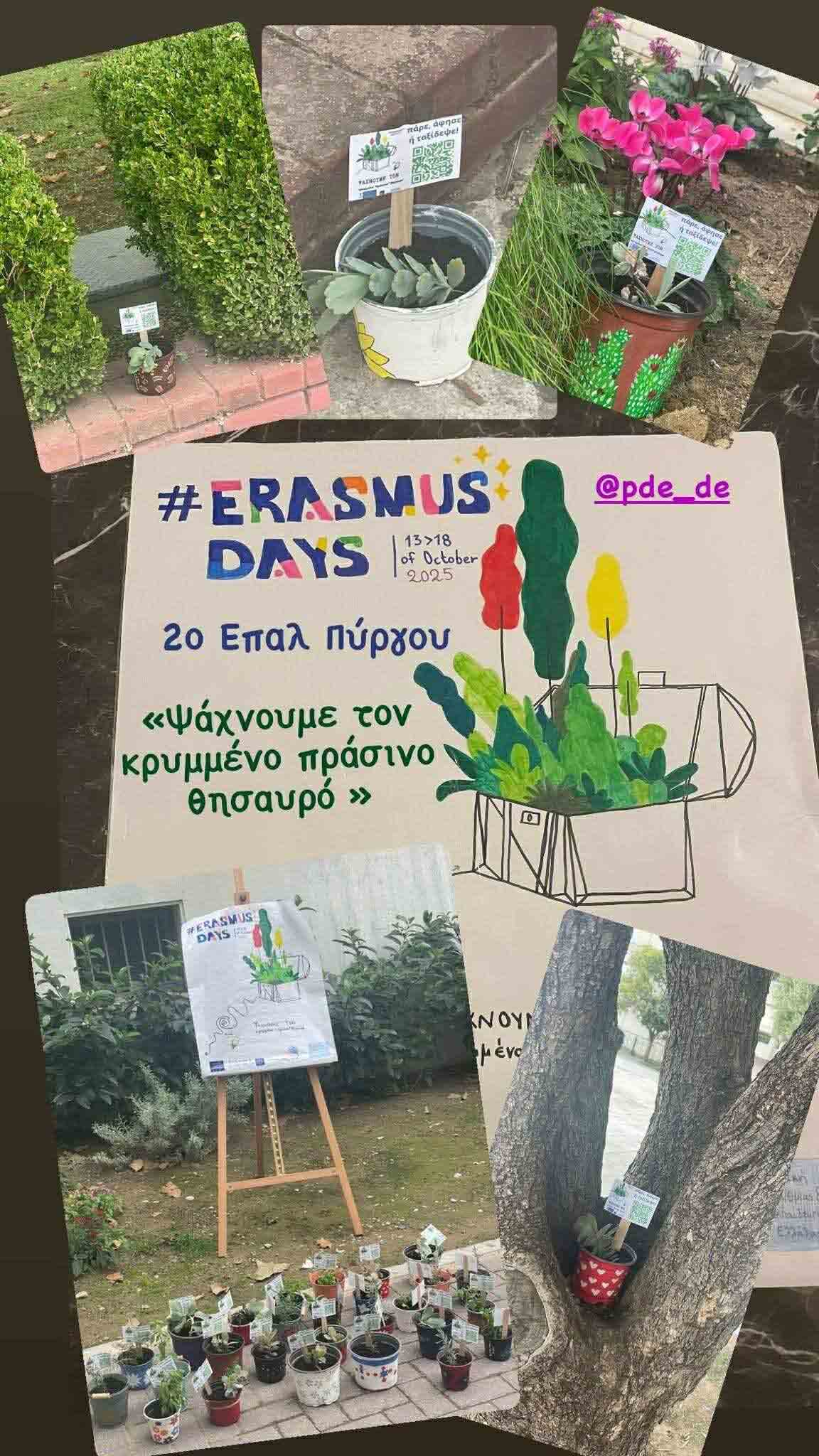 erasmus this 6