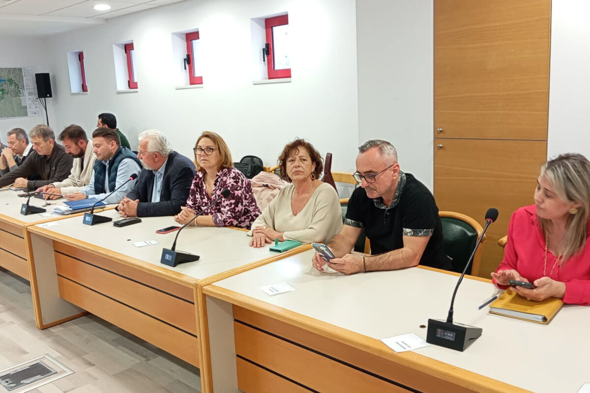 Topiko Poleodomiko Amaliadas 2