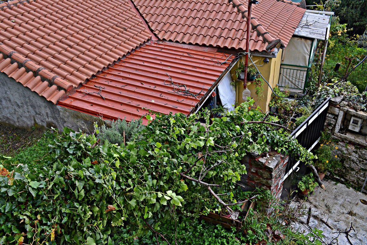Figaleia Dentro 3