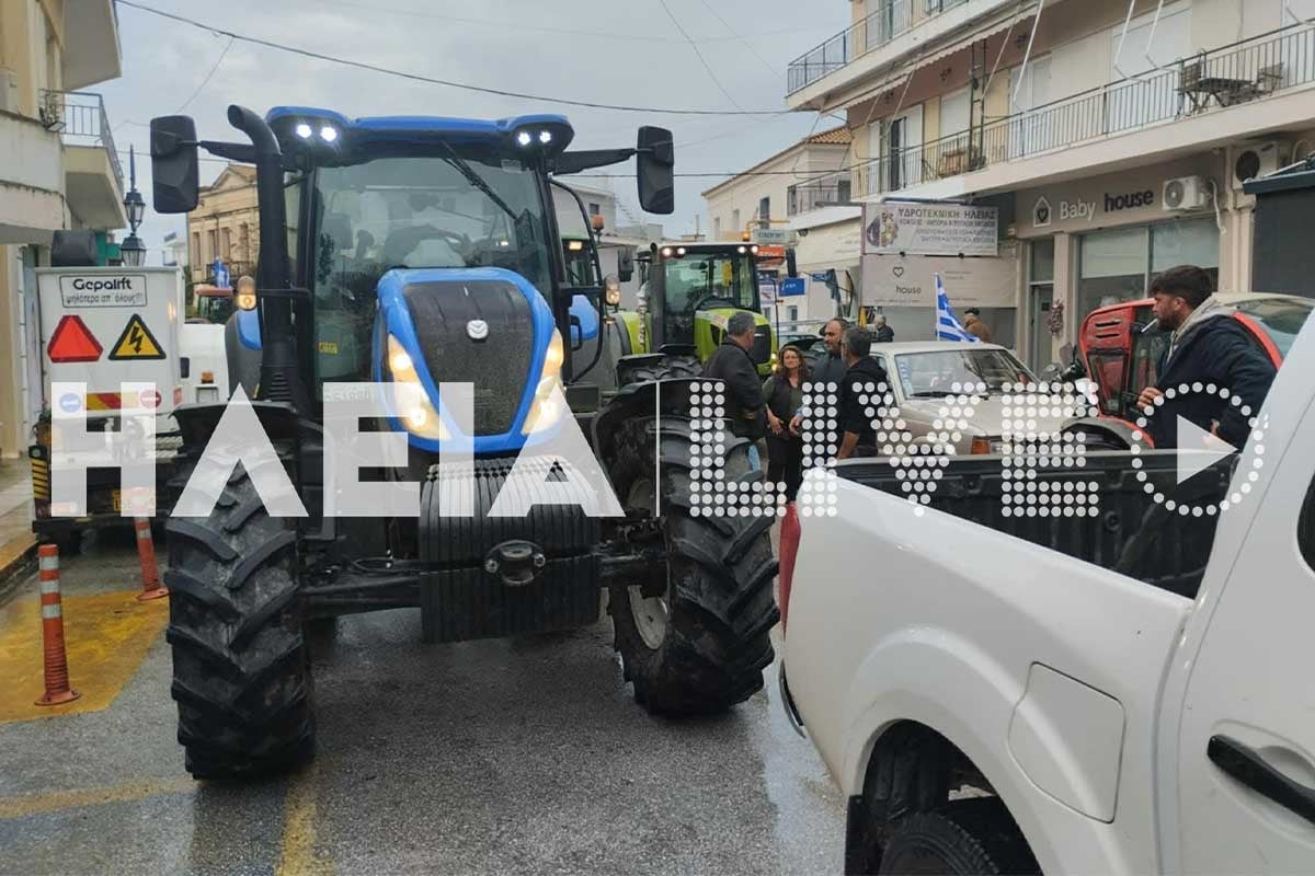 agrotes lexaiana 3