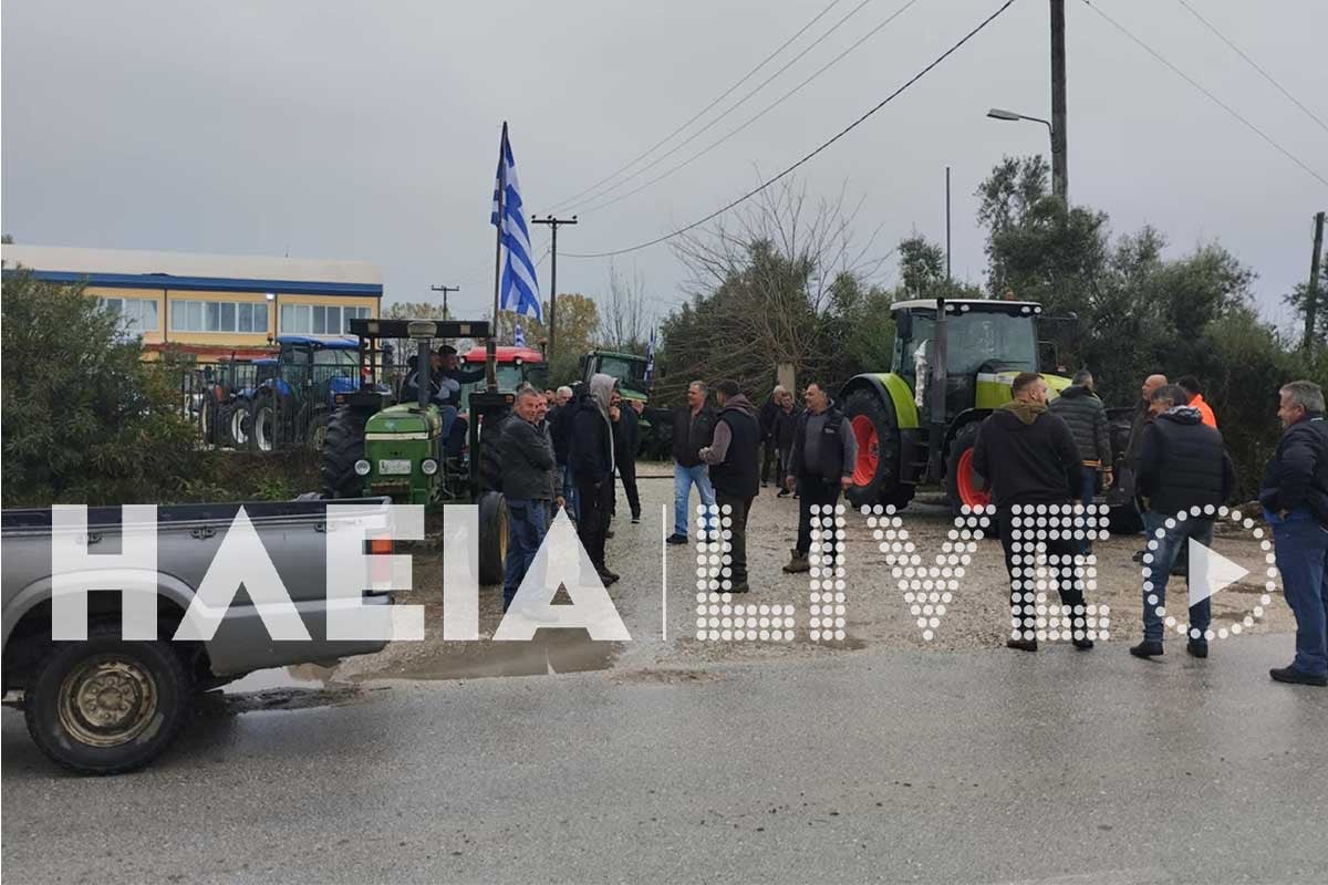 agrotes lexaiana 6
