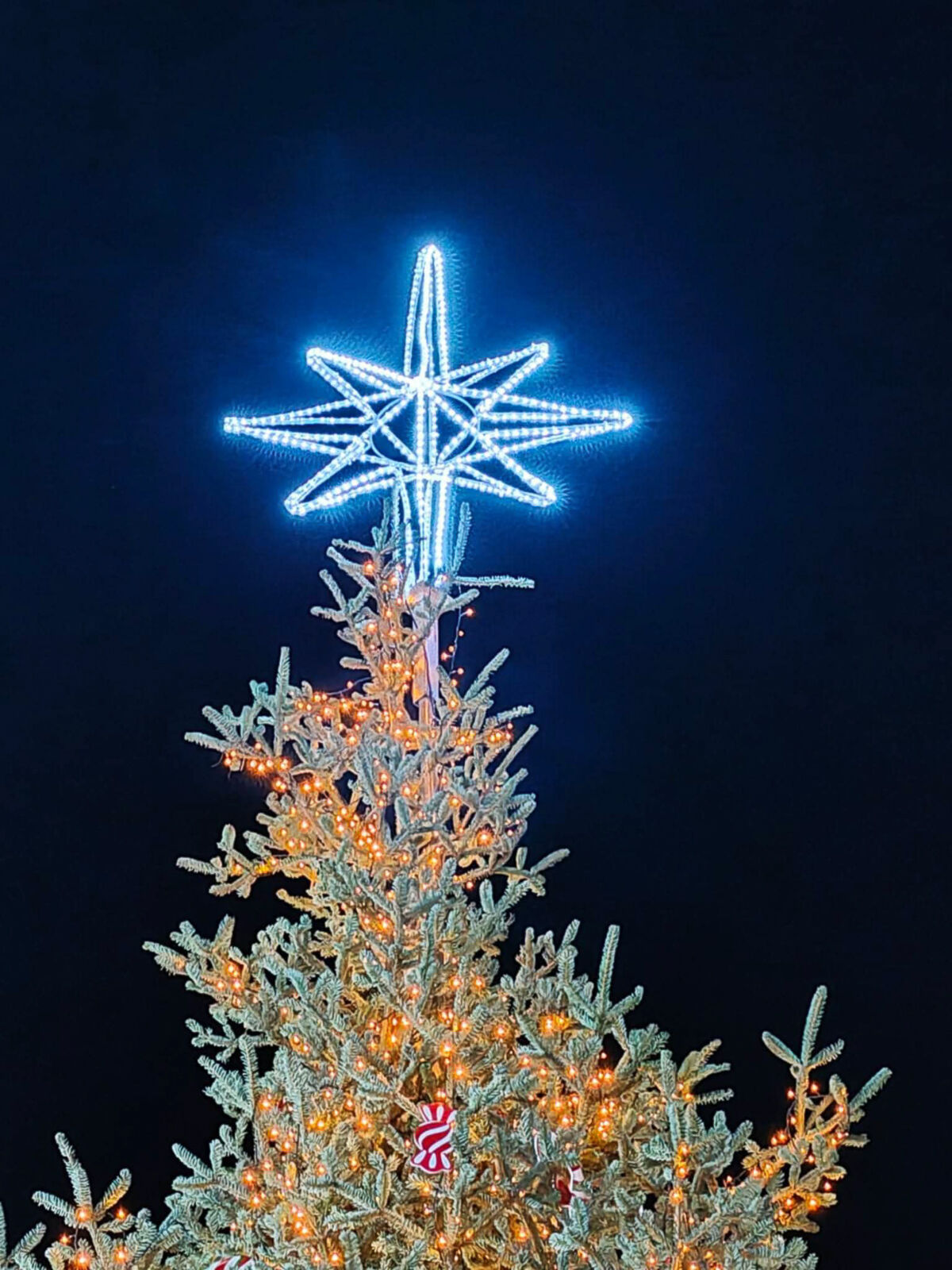 Xmas Amaliada 1
