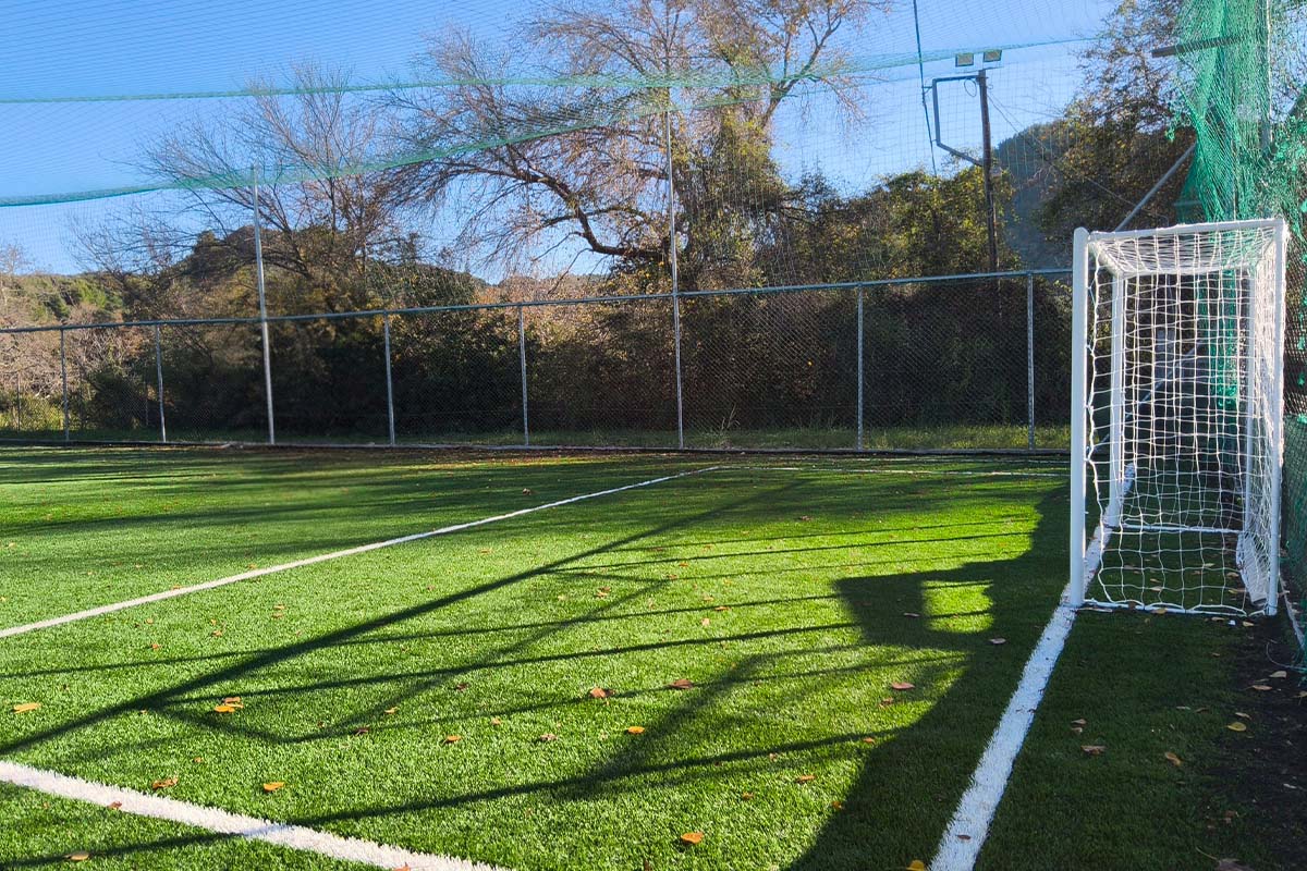 olumpia gipedo 3