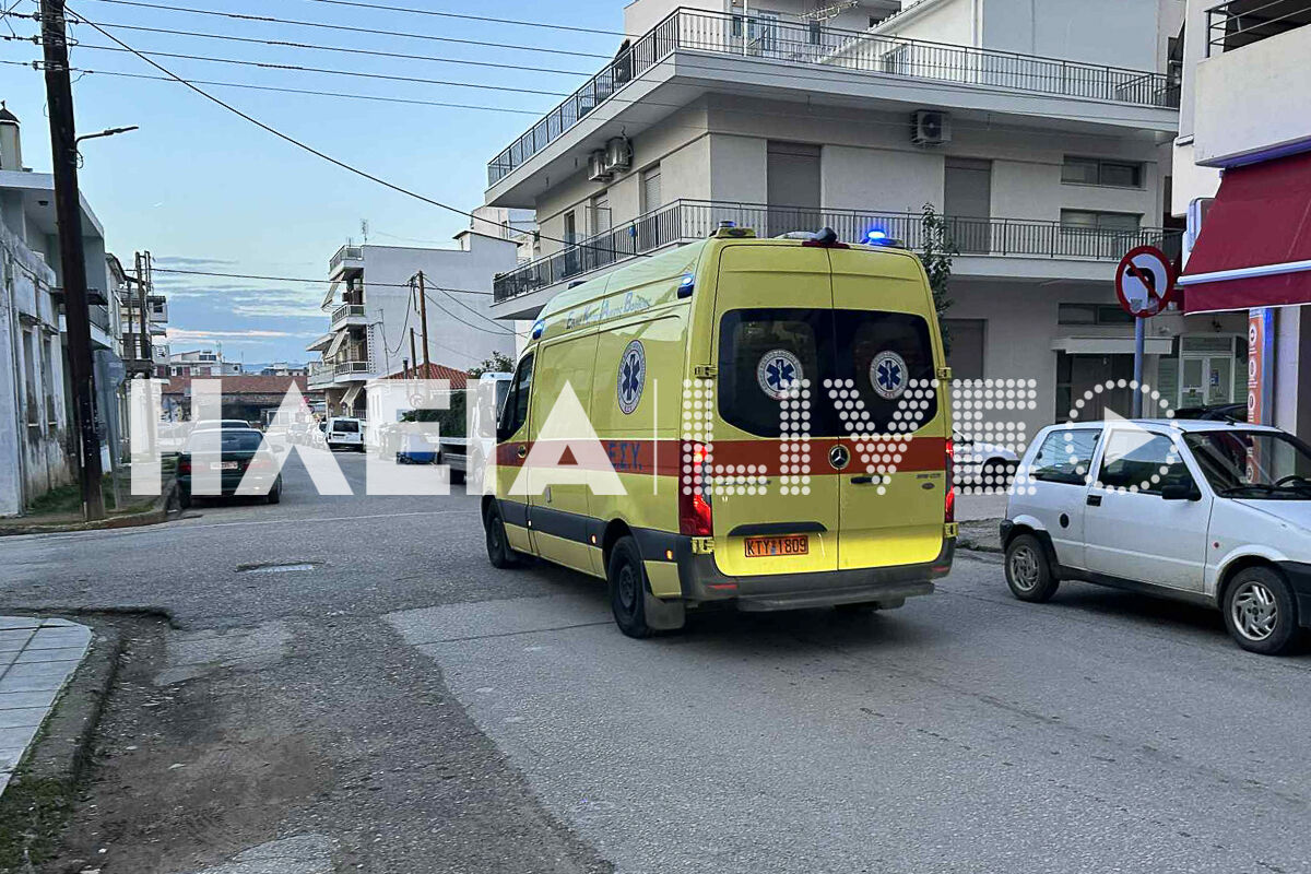 Troxaio delivery 1