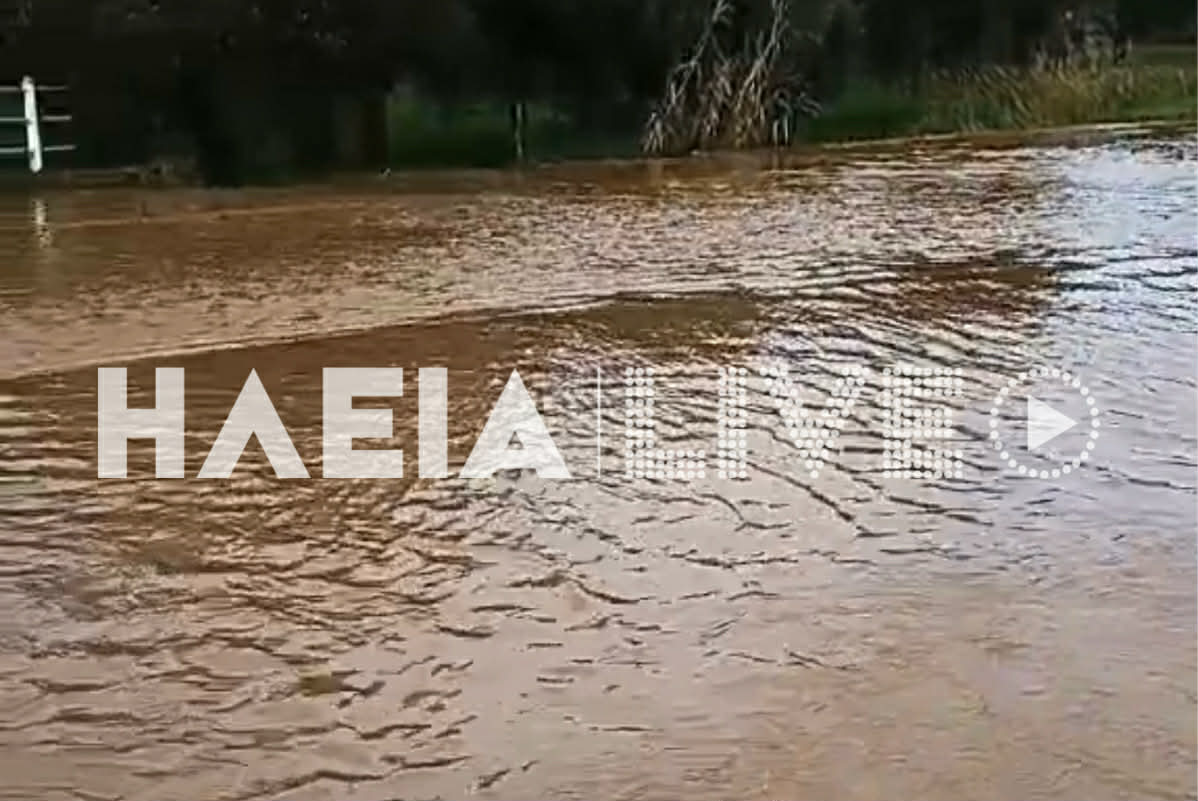 amaliada rema 2
