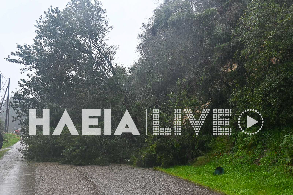 Alfeiousa New 3