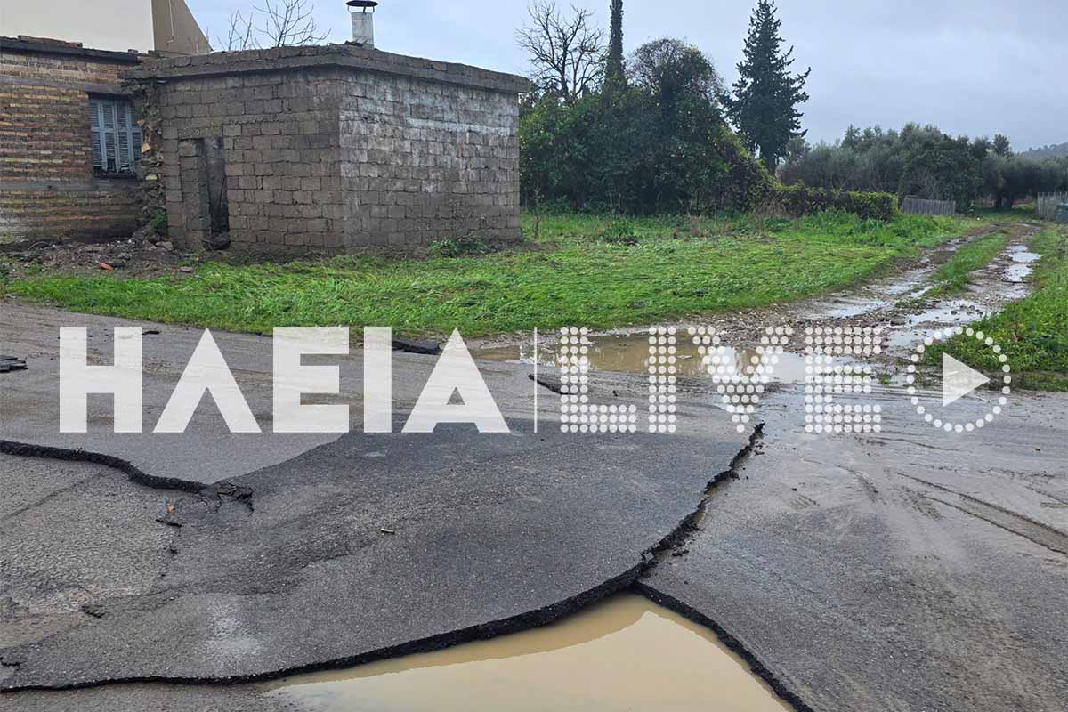 olumpia kakok plim 13