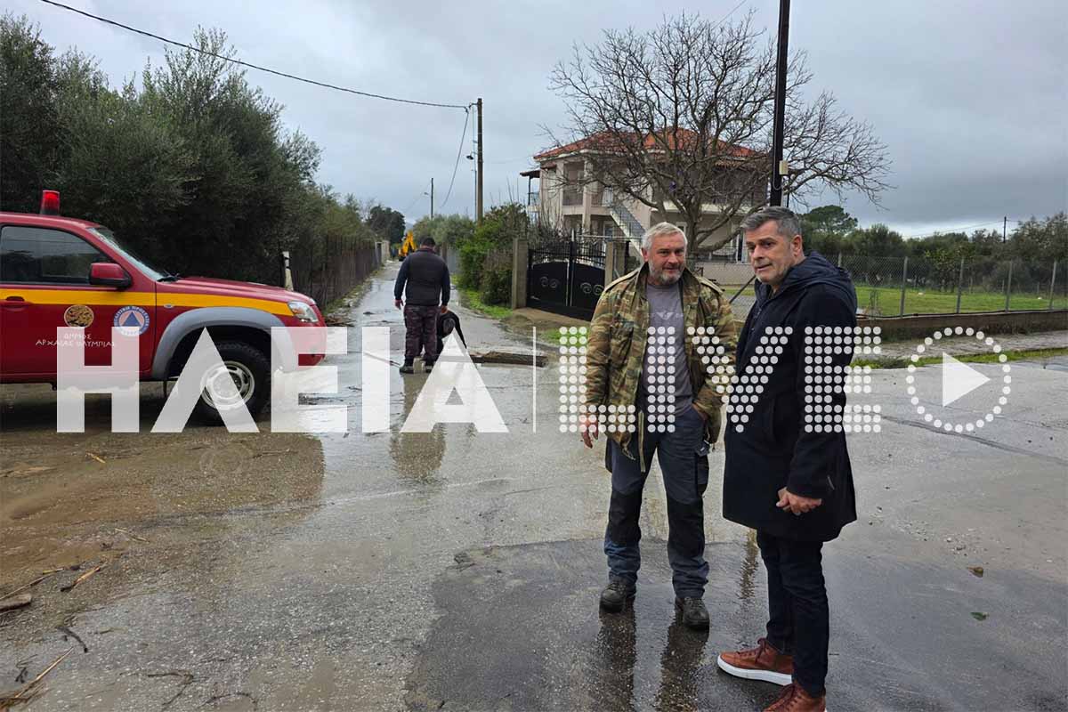 olumpia kakok plim 4